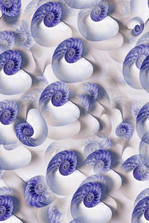 休闲时尚海螺纹印花华亿平台图片