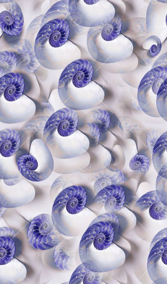 休闲时尚海螺纹印花华亿平台图片