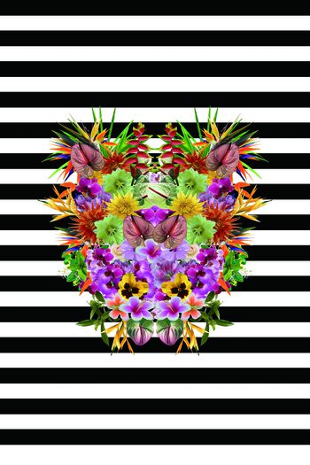 498861-条纹百花红掌仙人掌花热带植物花天堂