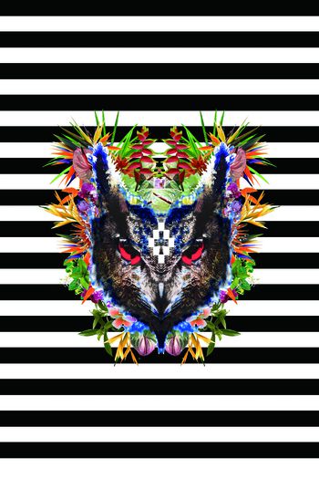 498863-条纹百花红掌仙人掌花热带植物花天堂