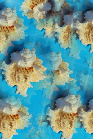 海浪休闲男女街拍风印花华亿平台图片