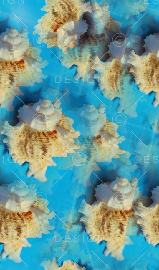 海浪休闲男女街拍风印花华亿平台图片