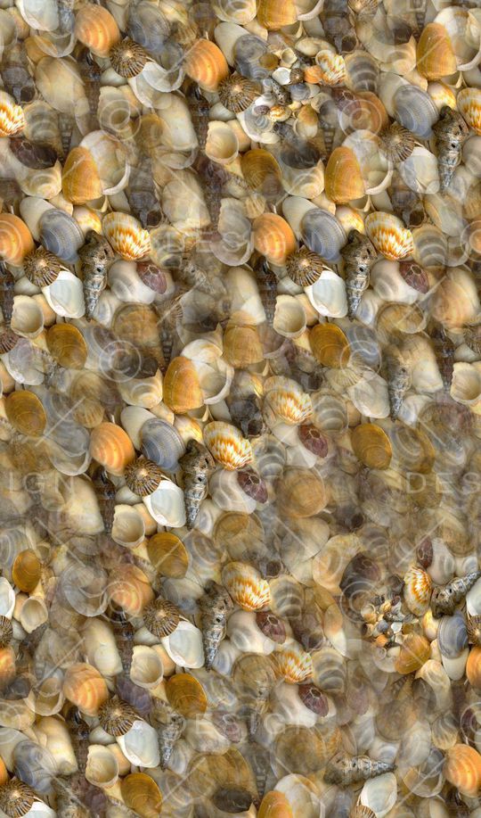 海螺休闲印花华亿平台图片