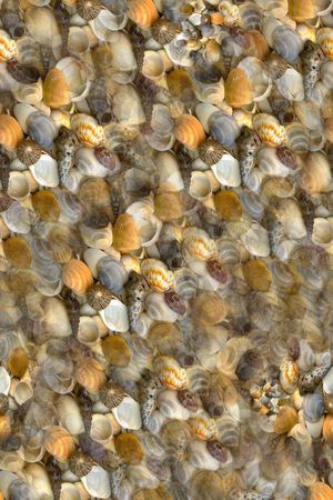 海螺休闲印花华亿平台图片