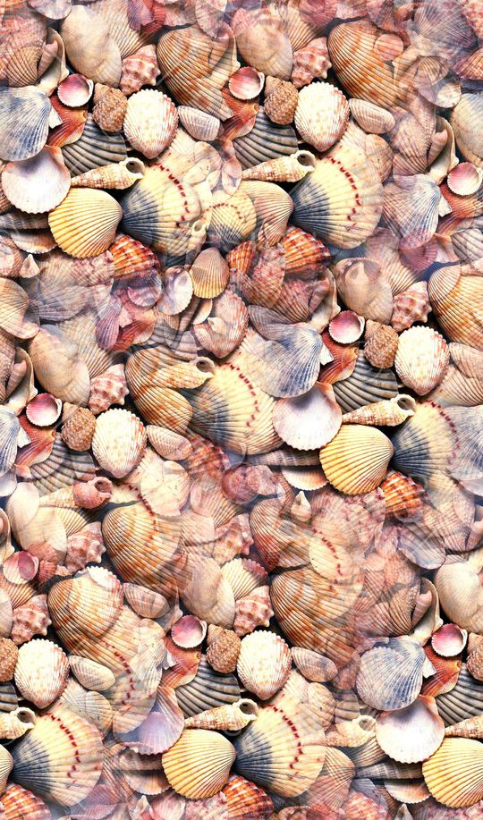 贝壳风休闲男女印花华亿平台图片