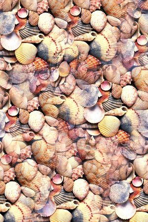 贝壳风休闲男女印花华亿平台图片