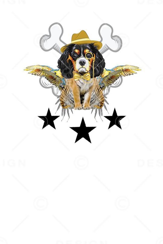 创意服装面料印花华亿平台图片