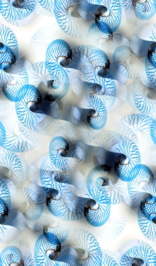 海螺纹沙滩风印花华亿平台图片