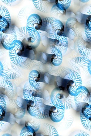 海螺纹沙滩风印花华亿平台图片