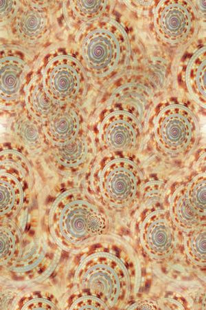 海螺纹沙滩风印花华亿平台图片