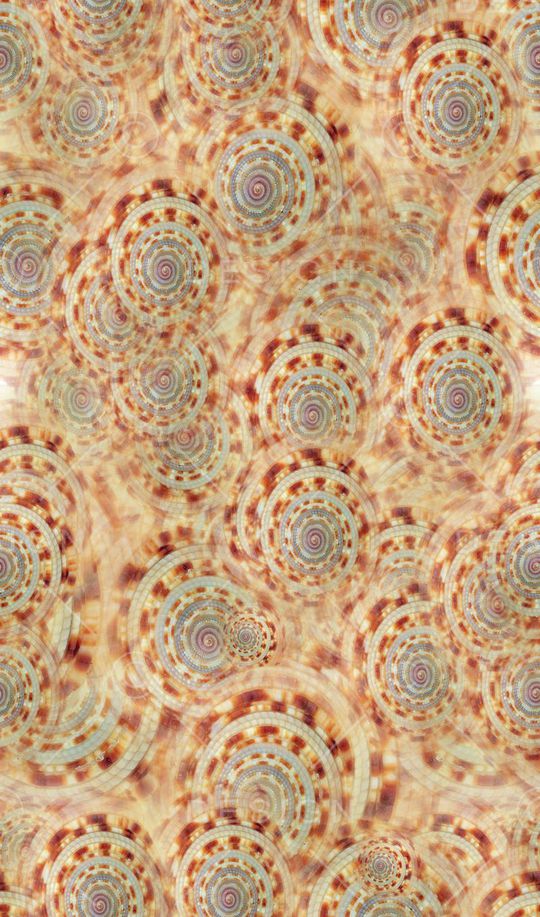 海螺纹沙滩风印花华亿平台图片