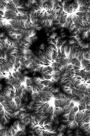 大地印花华亿平台图片