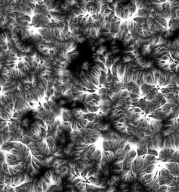 498982-根系脉络叶子经脉纹理大地纹理组合女