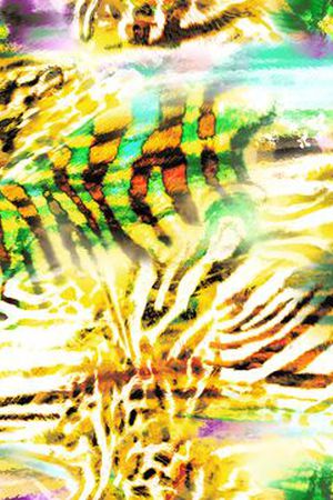 抽象豹纹印花华亿平台图片