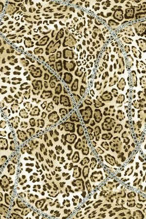 经典豹纹加链条印花华亿平台图片