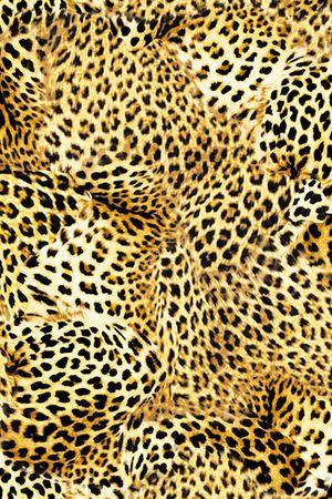 经典豹纹印花华亿平台图片