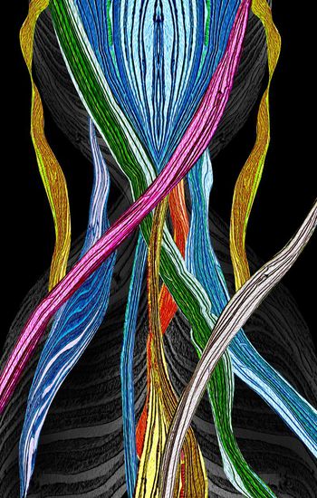 抽象纹理印花华亿平台图片