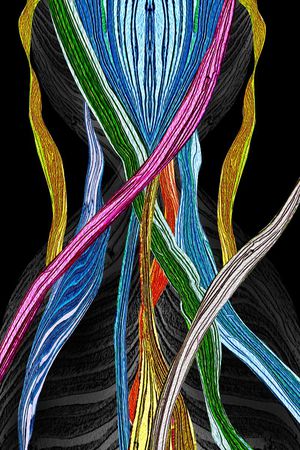 抽象纹理印花华亿平台图片