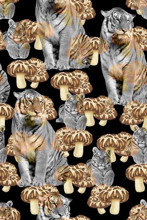 创意服装面料印花华亿平台图片