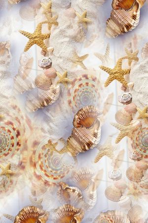 海滩系列印花华亿平台图片