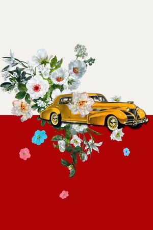 复古印花华亿平台图片