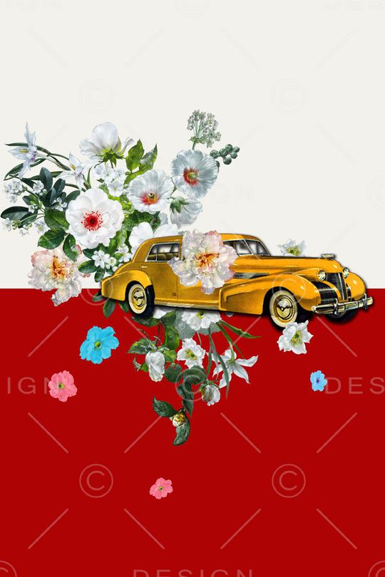 复古印花华亿平台图片