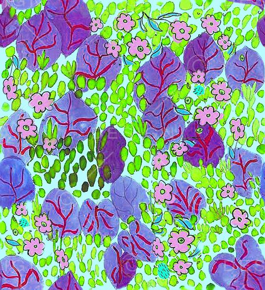 叶印花华亿平台图片