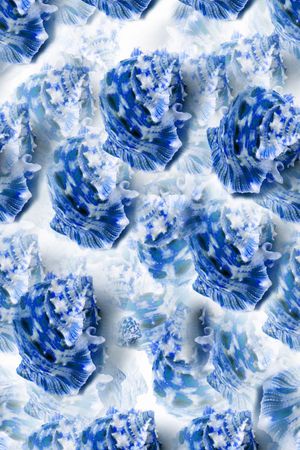 海滩系列印花华亿平台图片