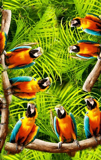 热带丛林印花华亿平台图片