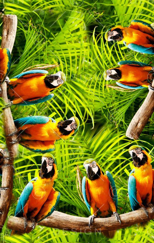 热带丛林印花华亿平台图片