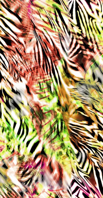 499844-五彩斑马纹