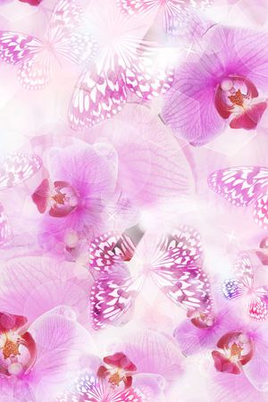 数码定位印花华亿平台图片