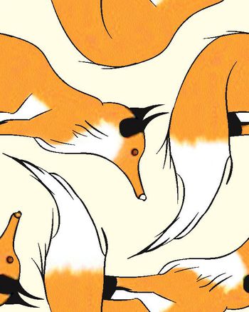 499896-原创大牌狐狸动物华亿平台