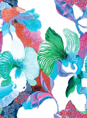 499902-原创大牌植物叶子绘画华亿平台