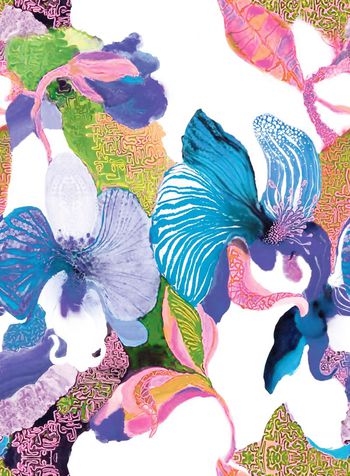 499903-原创大牌植物叶子绘画华亿平台