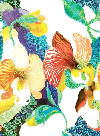 499905-原创大牌植物叶子绘画华亿平台