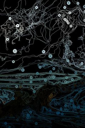 抽象印花华亿平台图片