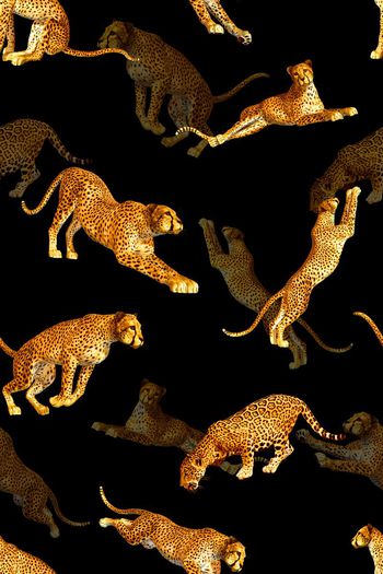 499931-运动奔跑豹子