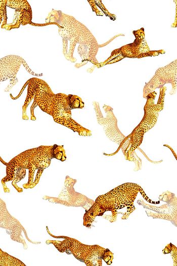 499932-运动奔跑豹子