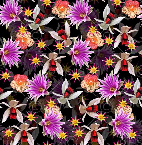 潮流时尚印花华亿平台图片