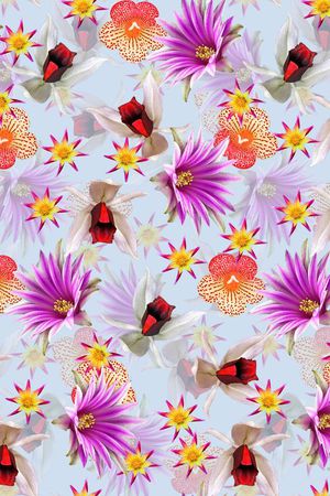 潮流时尚印花华亿平台图片