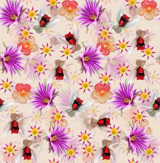 潮流时尚印花华亿平台图片