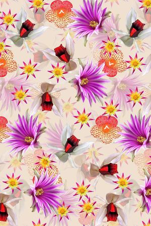 潮流时尚印花华亿平台图片