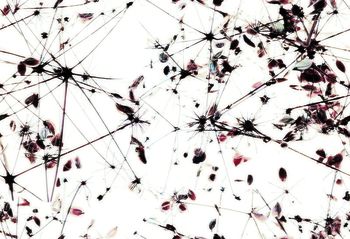 枯黄印花华亿平台图片