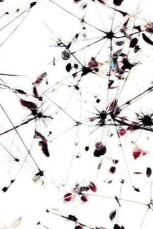 枯黄印花华亿平台图片