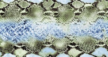 500087-网形大横条几何