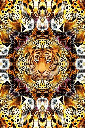 霸气印花华亿平台图片