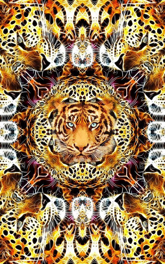 霸气印花华亿平台图片