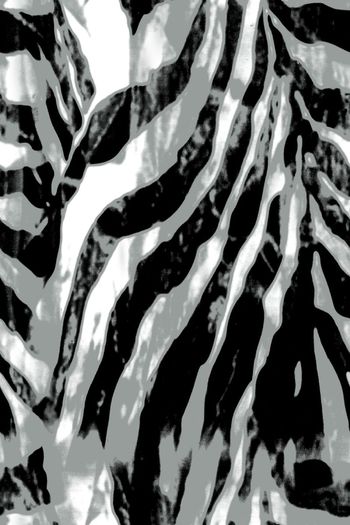 斑马纹印花华亿平台图片