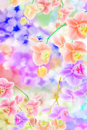 梦幻印花华亿平台图片